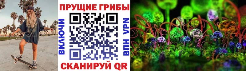 Галлюциногенные грибы прущие грибы mega tor Кувшиново