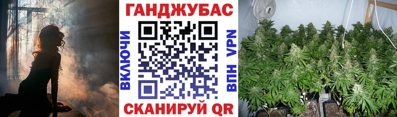 Конопля план цена наркотик Кувшиново